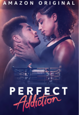 perfect addiction (2023)